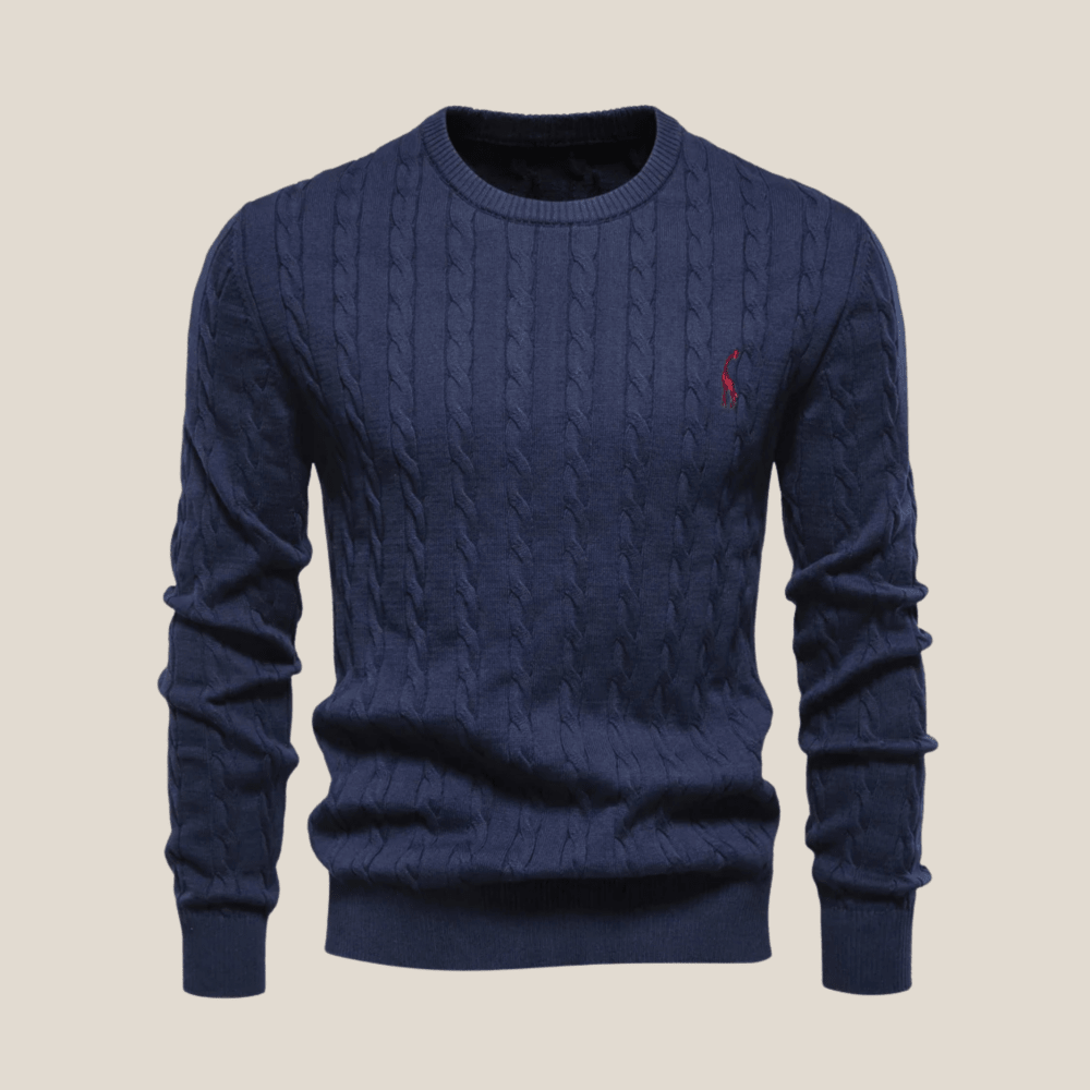 Olivier™ - Pull Chic pour Hommes - Aurélie Mode